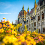 Lorem ipsum dolor sit amet, consectetur adipisicing elit 4